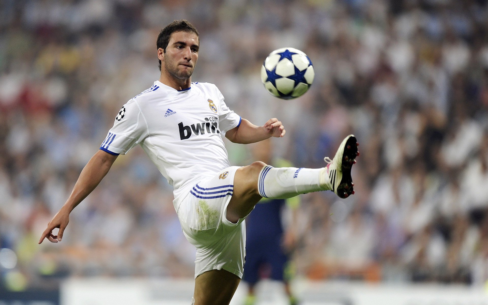 kering.com-Cole Palmer获赛季最佳新星奖,备受期待